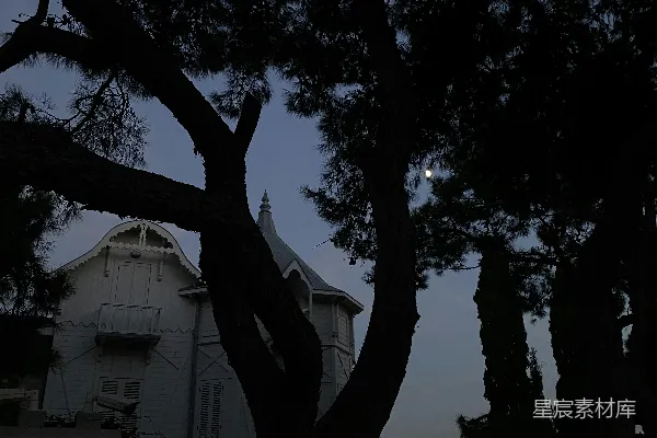 树旁边有一栋建筑