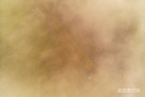 一只鸟的模糊图像