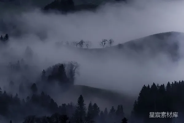 雾蒙蒙的山峦，前景有树木。