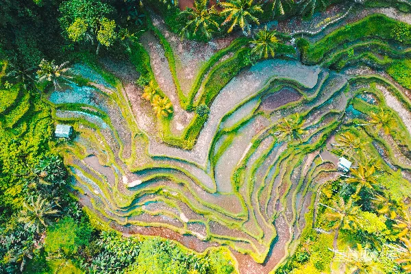 高清摄影 白天拍摄的梯田航拍照片