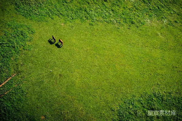 高清摄影 白天的草地上空视角
