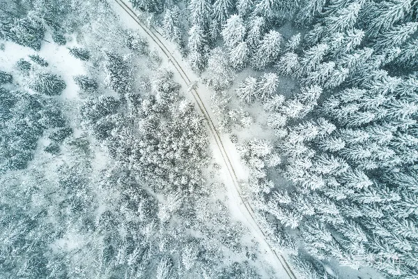高清摄影 鸟瞰雪林