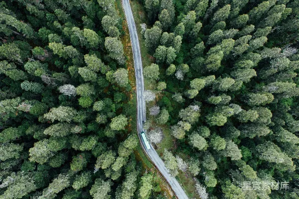 高清摄影 车辆在树木之间的道路上的航拍