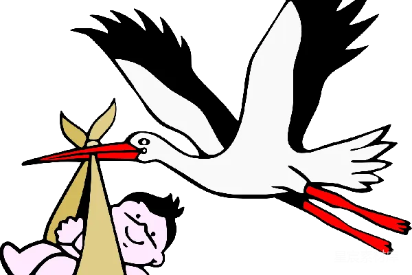 元素素材 PNG