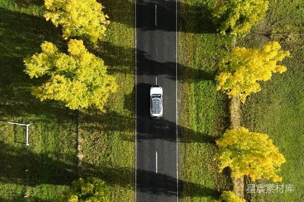 高清摄影 一辆汽车沿着被树木包围的道路行驶