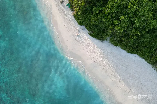 高清摄影 空中俯瞰海滩和森林区域的景色