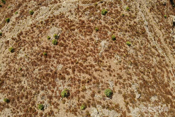 高清摄影 一张泥土场地的特写照片
