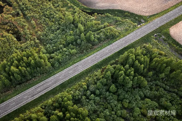 高清摄影 灰色柏油路旁的绿树