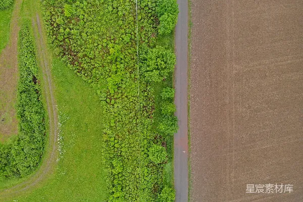 高清摄影 绿色草地在水体附近