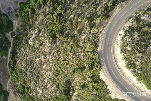 高清摄影 一幅道路被树木环绕的航拍图