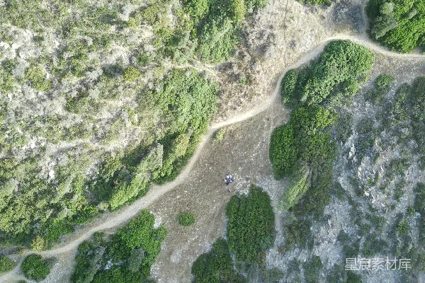 高清摄影 空中俯瞰一条土路，两旁环绕着树木。