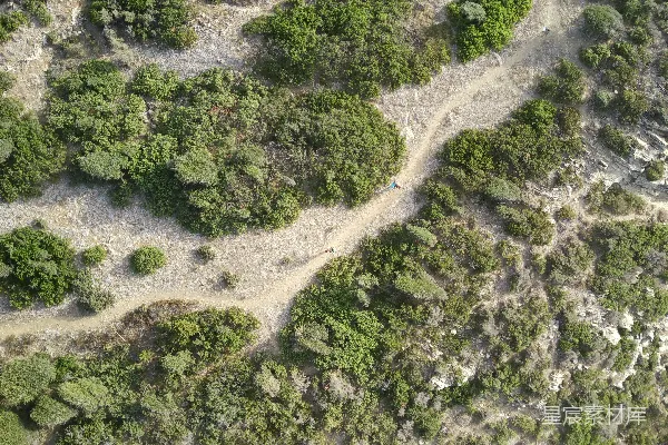 高清摄影 一条土路的空中俯瞰图，两旁环绕着树木。