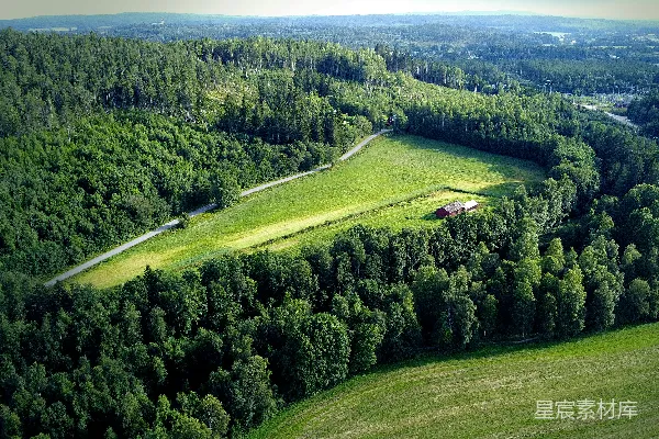 高清摄影 白天的绿色草地和树木