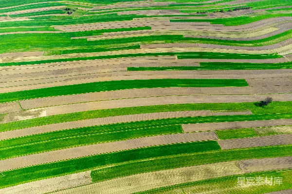 高清摄影 一个大大的绿色草地的空中俯瞰图