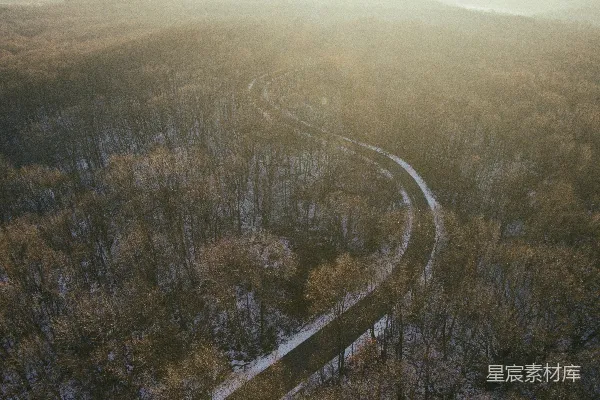 高清摄影 航拍道路周围的树木