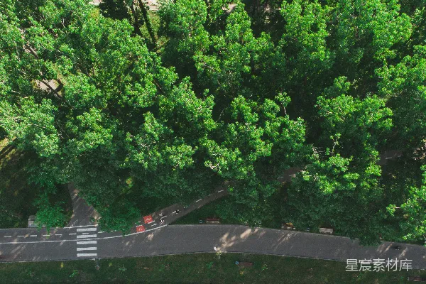 高清摄影 空中俯瞰一条被树木环绕的道路。