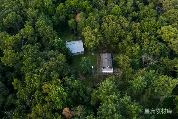高清摄影 白天，一座黑白相间的房子被绿色的树木环绕。