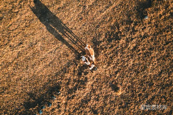 高清摄影 鸟瞰摄影