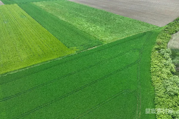 高清摄影 俯瞰一片绿意盎然的田野，树木点缀其间。