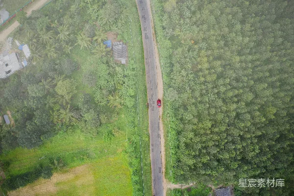 高清摄影 空中俯瞰绿色树木和草地的场景