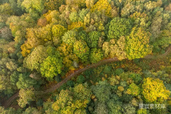 高清摄影 森林中蜿蜒道路的空中俯瞰图