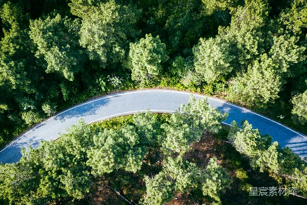 高清摄影 蓝色和白色相间的圆形隧道被绿树环绕。