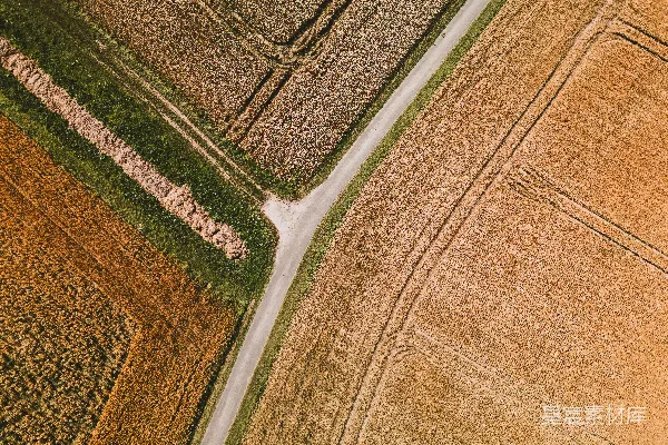 高清摄影 一张小麦田和道路的航拍图