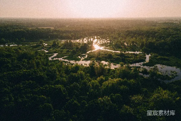 高清摄影 一片风景，远处有树木和一片水域。