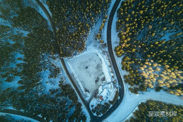 高清摄影 道路被树木环绕的航拍照片