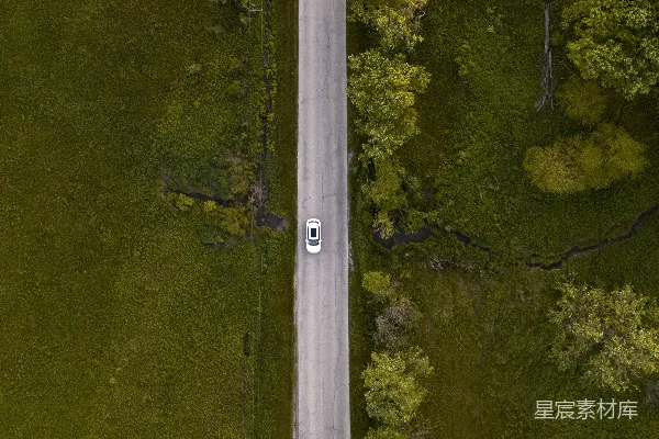 高清摄影 空中俯瞰绿树