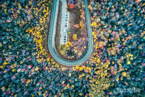 高清摄影 道路被鲜花环绕的空中俯瞰图