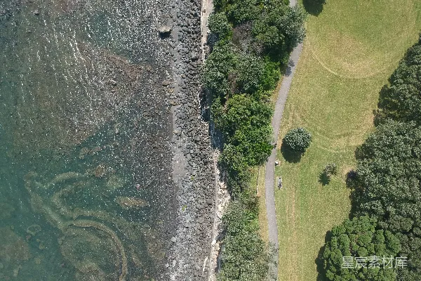 高清摄影 空中拍摄到的树木和道路旁的水域全景。