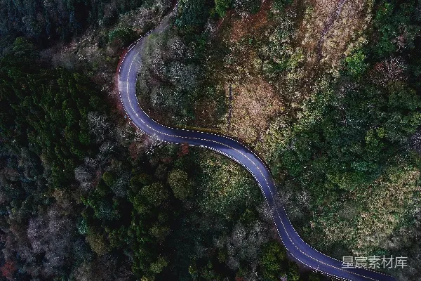 高清摄影 树木之间的道路