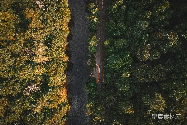 高清摄影 一条道路被树木环绕的空中俯瞰图