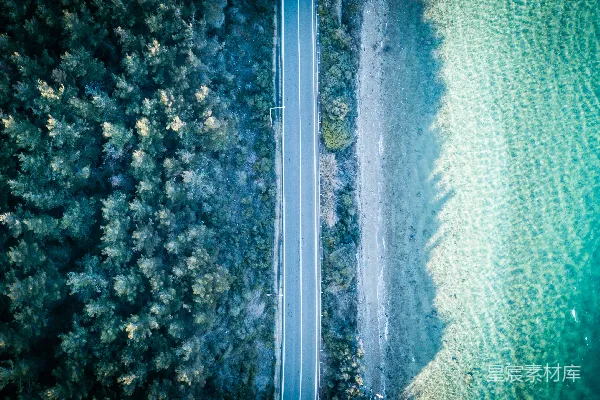 高清摄影 空中俯瞰绿树和道路