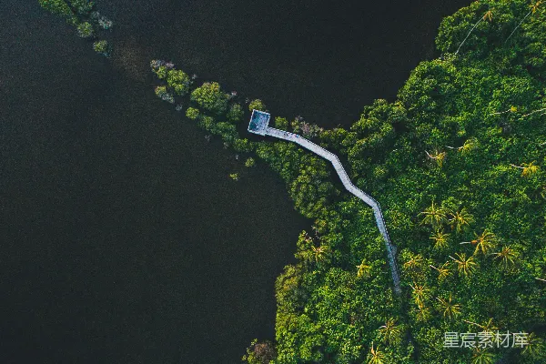 高清摄影 鸟瞰森林和河流