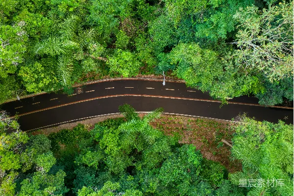高清摄影 森林中间的一条道路的俯瞰图