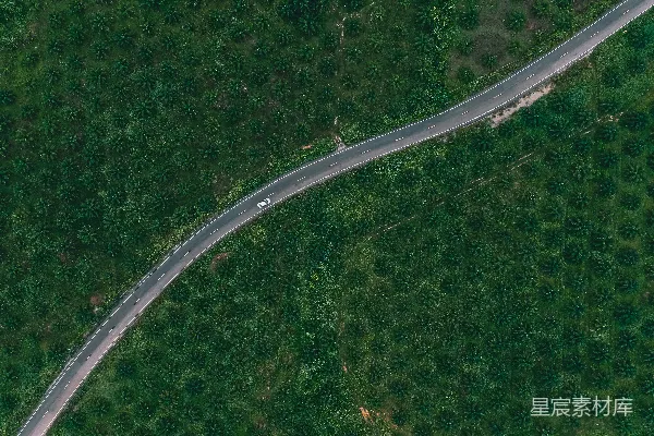 高清摄影 白天间的树木间道路的航拍照片