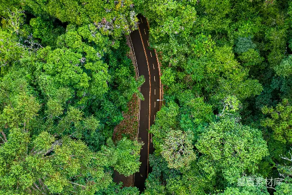 高清摄影 森林中间的公路俯瞰图