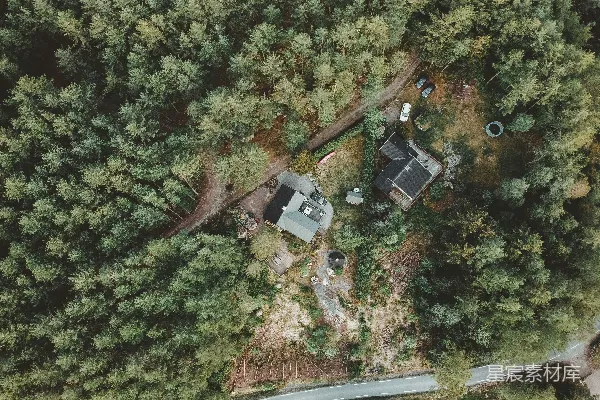 高清摄影 空中俯瞰绿色树木