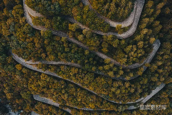 高清摄影 一条蜿蜒的山路，两旁环绕着树木，俯瞰其景。