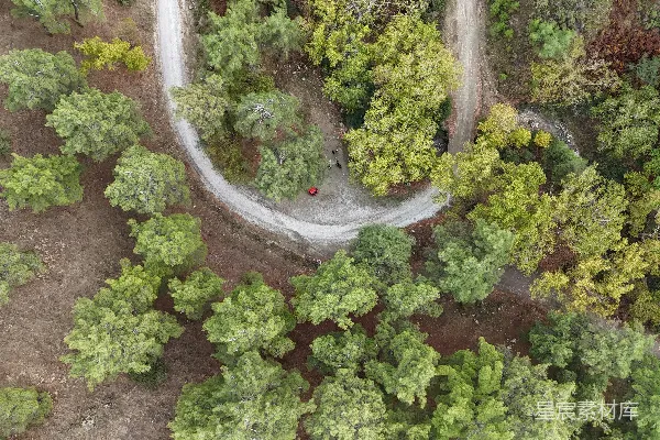 高清摄影 森林中间的一条道路的空中俯瞰图