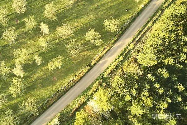 高清摄影 道路俯视图