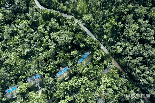 高清摄影 在森林中间俯瞰一条道路的景象