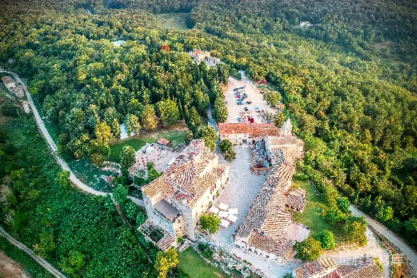 高清摄影 绿色和棕色的混凝土建筑
