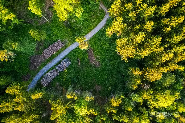 高清摄影 空中俯瞰绿树的景象