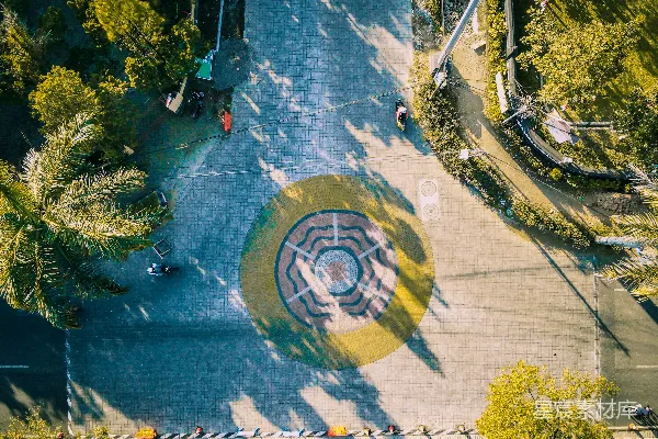 高清摄影 空中俯瞰绿树和道路
