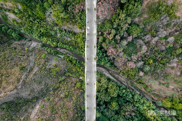 高清摄影 空中俯瞰一条被树木环绕的道路