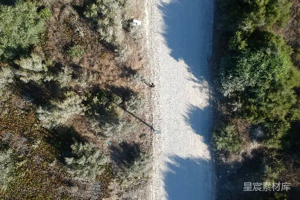 高清摄影 一条泥泞的小路，被树木环绕的空中俯瞰图