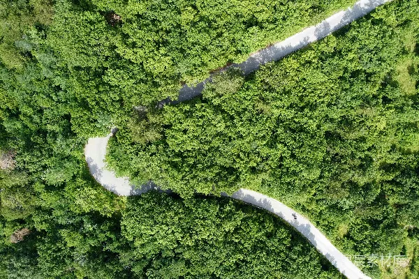 高清摄影 空中俯瞰绿色森林
